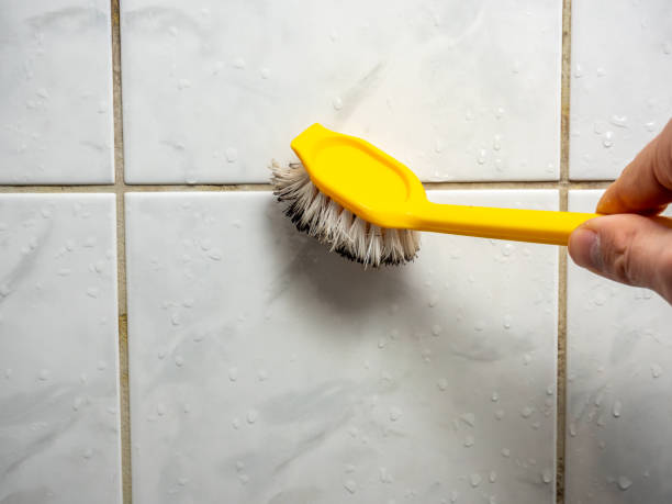 Best DIY Mold Remediation Support Services in Paris, IL