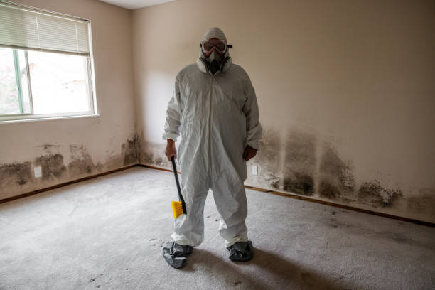 Best Residential Mold Remediation in Paris, IL